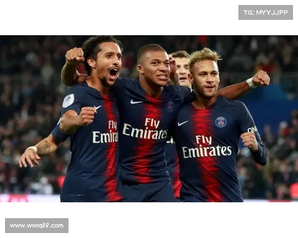 法甲球队新赛季阵容分析:巴黎圣日耳曼与里昂的强势崛起与挑战 法甲球队新赛季阵容分析:巴黎圣日耳曼与里昂的强势崛起与挑战