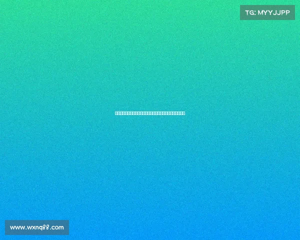 雷恩城市发展与文化特色研究：从历史遗产到现代化转型的探索