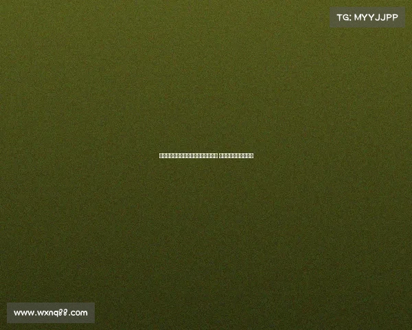 罗马诺：维萨已告知布伦特福德欲离队 纽卡持续推进转会谈判